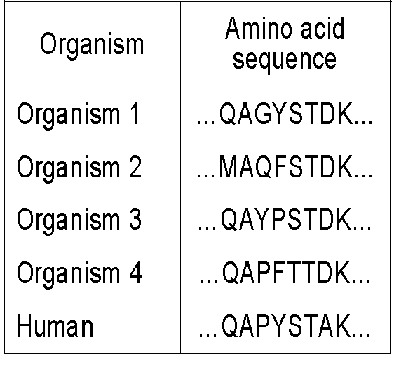 Unit 8 Target 1: Classification And Cladograms